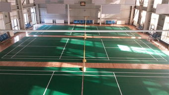 專注品質(zhì)，服務(wù)運(yùn)動(dòng)——北京達(dá)森運(yùn)動(dòng)木地板有限責(zé)任公司